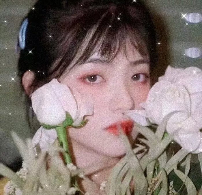 54今夜星光诱惑